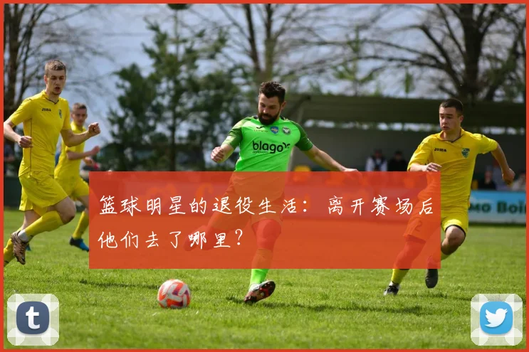 篮球明星的退役生活:离开赛场后他们去了哪里?