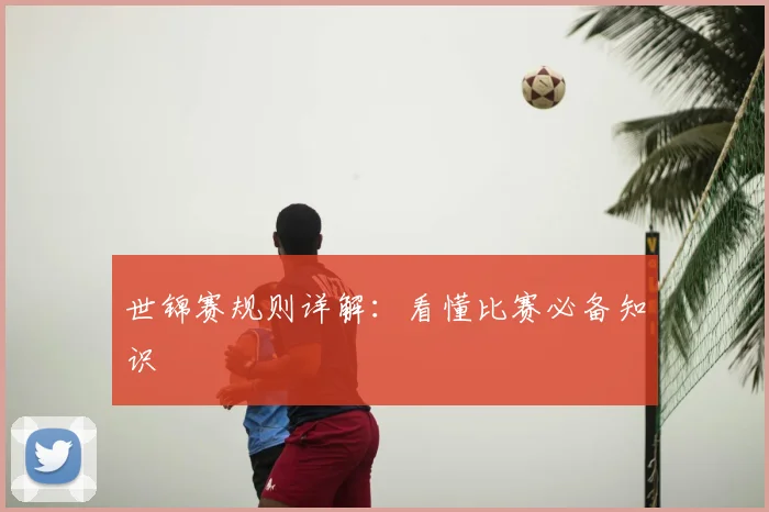 世锦赛规则详解：看懂比赛必备知识