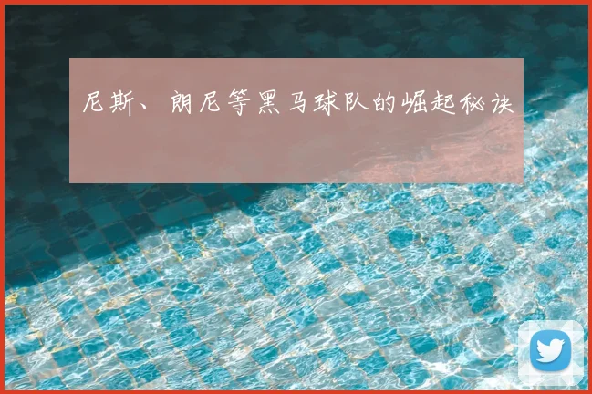 尼斯、朗尼等黑马球队的崛起秘诀